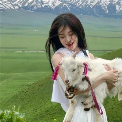 飞吧!道格拉斯